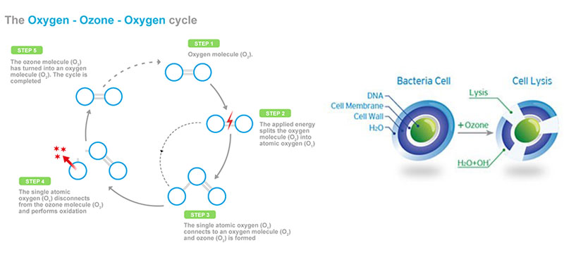 oxygen-ozone-oxygen-cycle